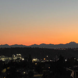 Meet your Posher, Samuel